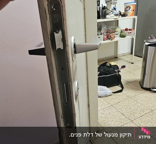 דלת עץ עם מנגנון מנעול חבוי וידית מתכת